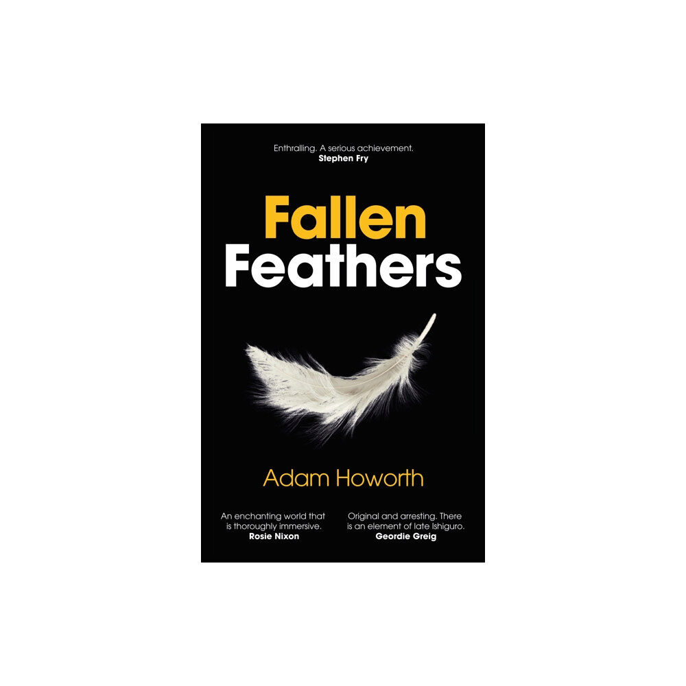 Troubador Publishing Fallen Feathers (inbunden, eng)