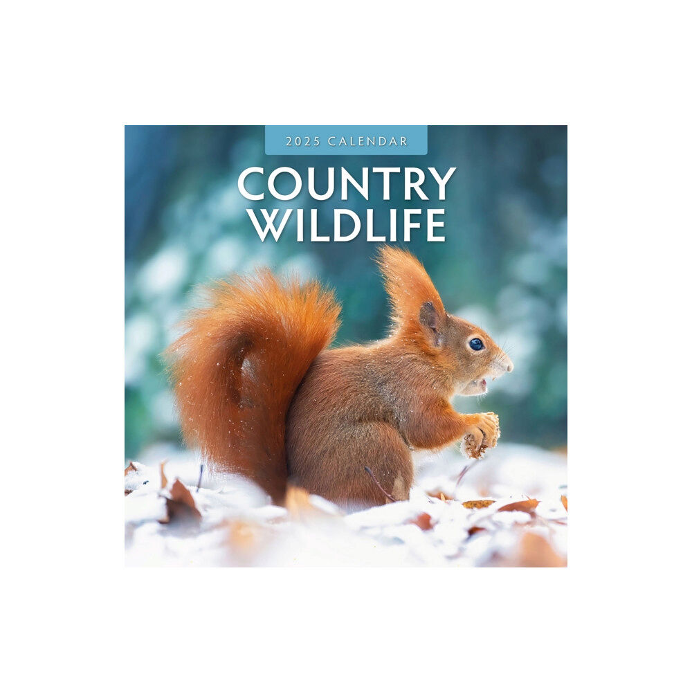 Red Robin Publishing Ltd. Country Wildlife 2025 Square Wall Calendar (häftad, eng)