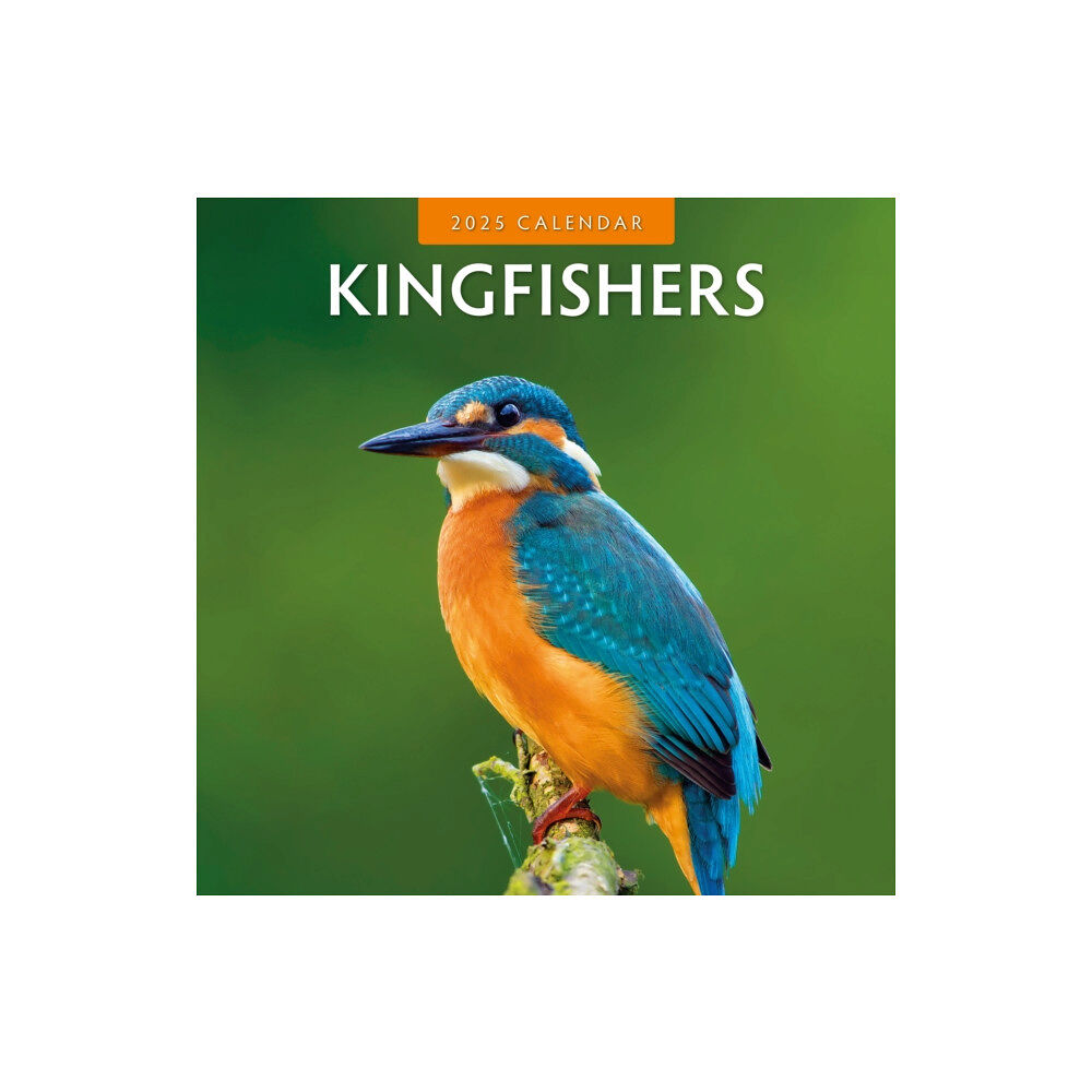 Red Robin Publishing Ltd. Kingfishers 2025 Square Wall Calendar (häftad, eng)