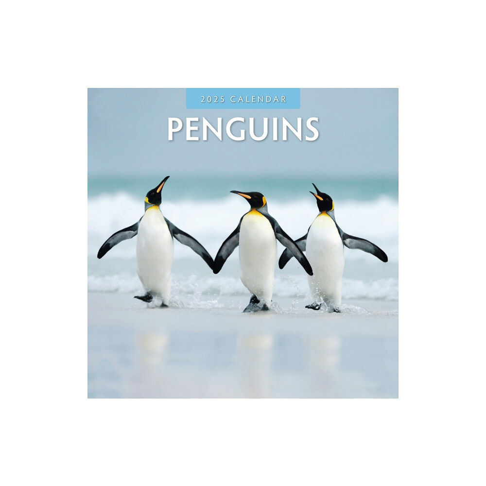 Red Robin Publishing Ltd. Penguins 2025 Square Wall Calendar (häftad, eng)