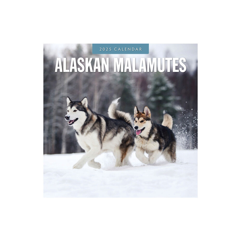 Red Robin Publishing Ltd. Alaskan Malamutes 2025 Square Wall Calendar (häftad, eng)