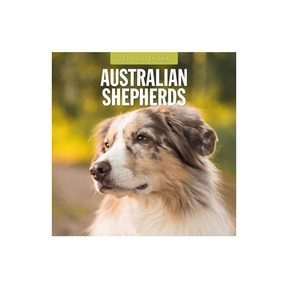 Red Robin Publishing Ltd. Australian Shepherds 2025 Square Wall Calendar (häftad, eng)