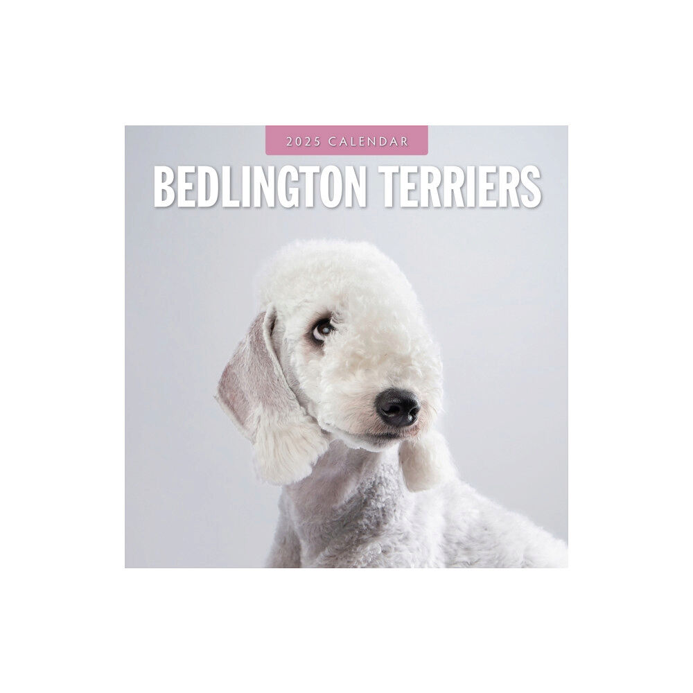 Red Robin Publishing Ltd. Bedlington Terriers 2025 Square Wall Calendar (häftad, eng)