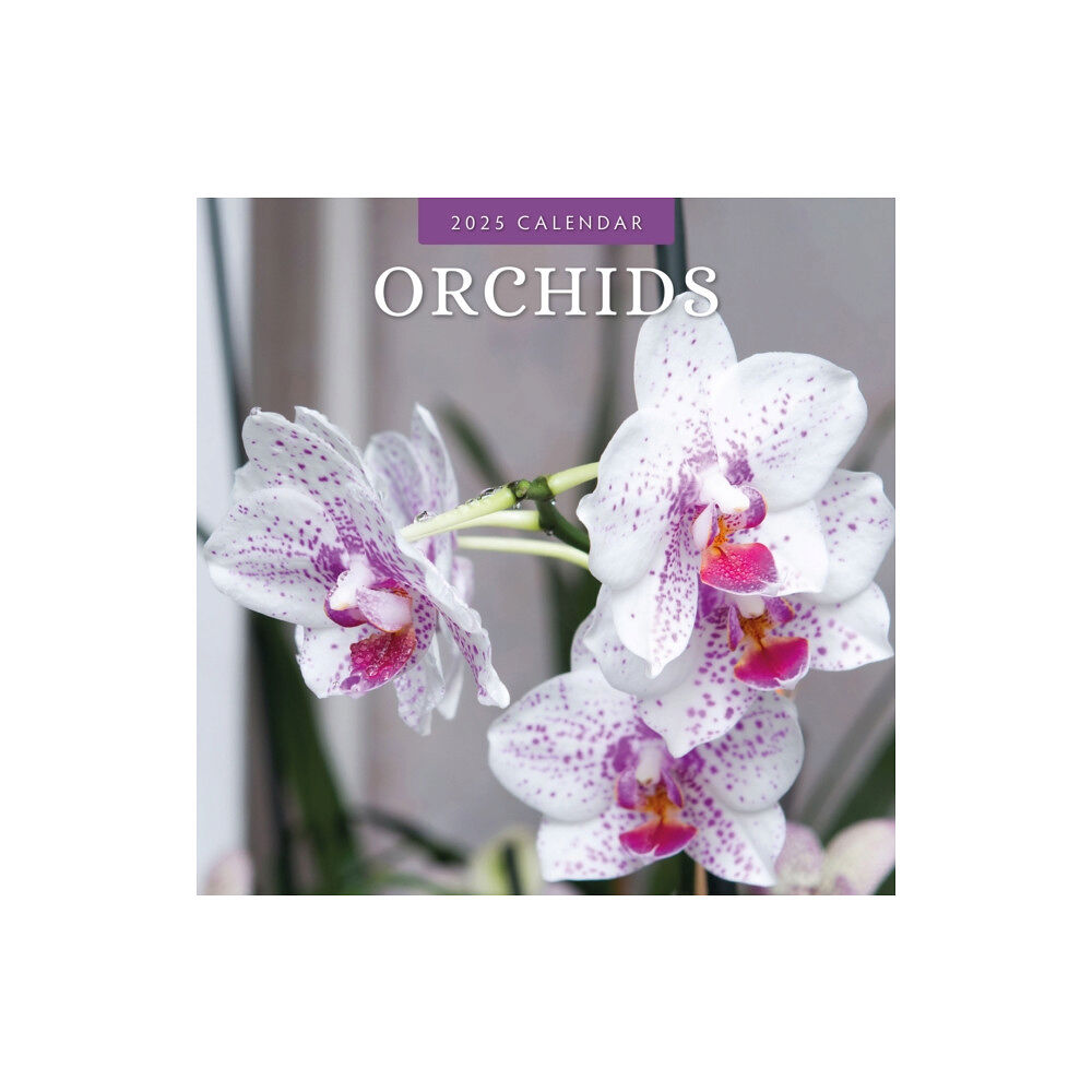 Red Robin Publishing Ltd. Orchids 2025 Square Wall Calendar (häftad, eng)