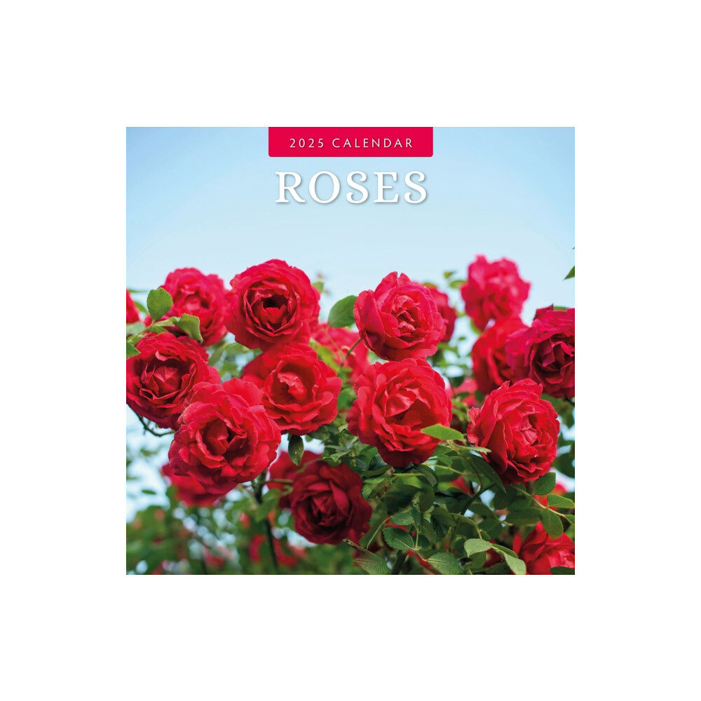 Red Robin Publishing Ltd. Roses 2025 Square Wall Calendar (häftad, eng)