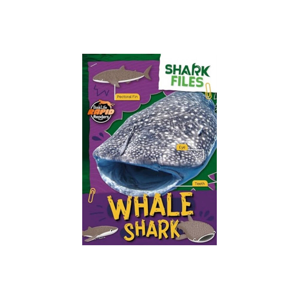 BookLife Publishing Whale Shark (häftad, eng)