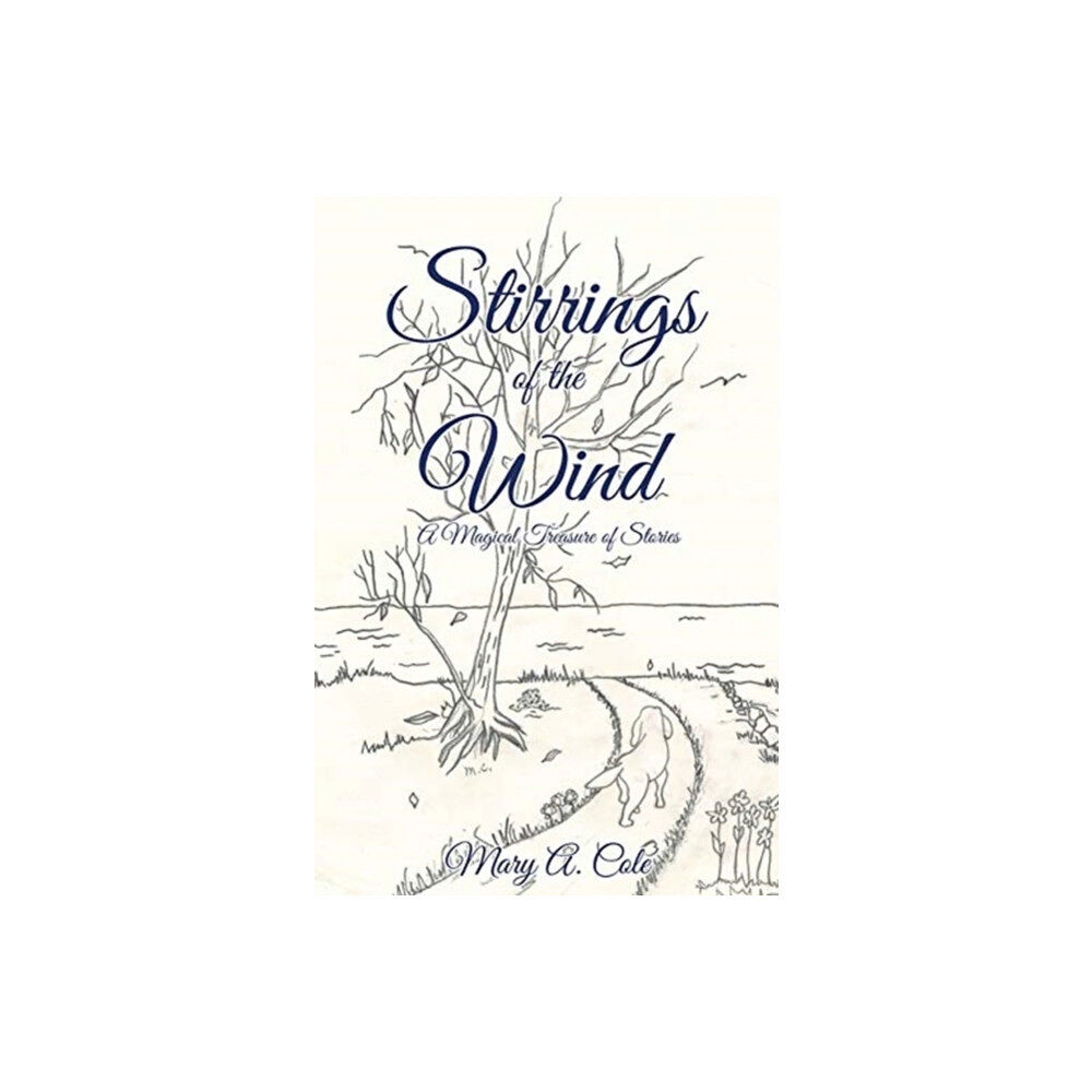 Xulon Press Stirrings of the Wind (häftad, eng)