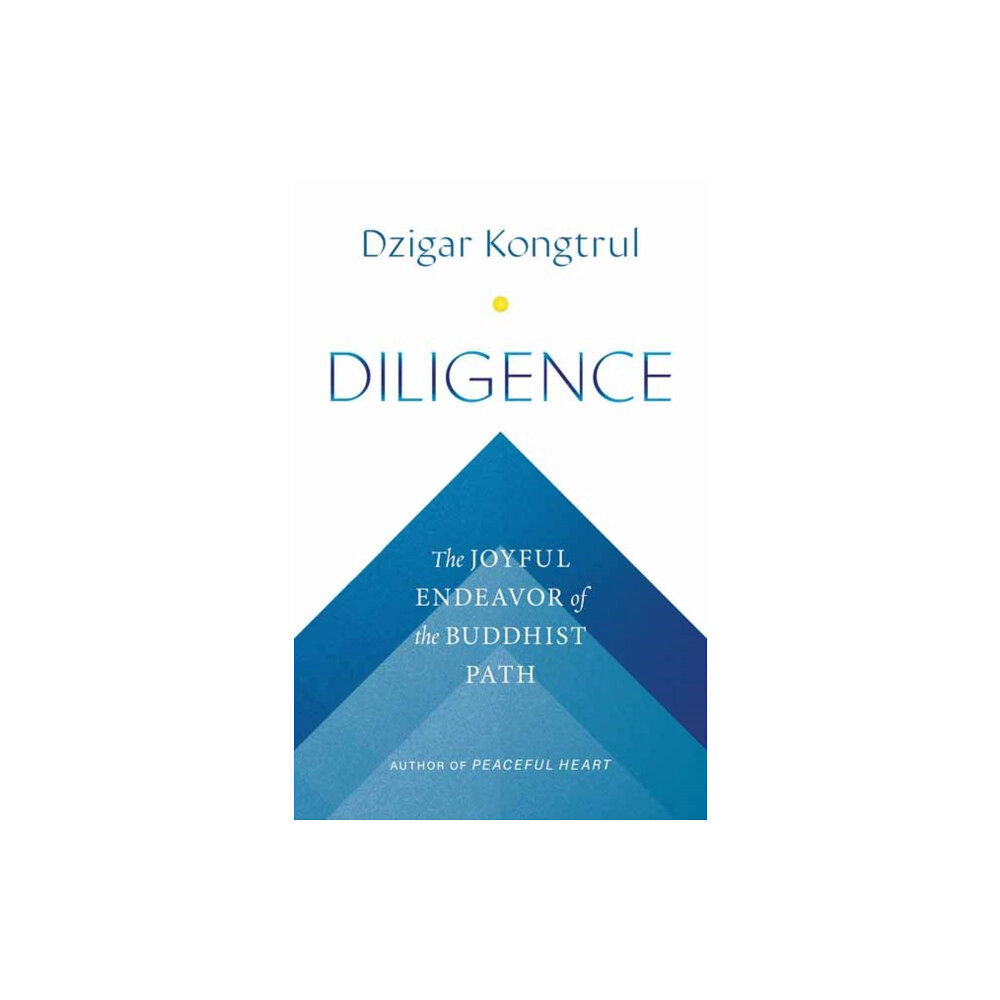 Shambhala Publications Inc Diligence (häftad, eng)