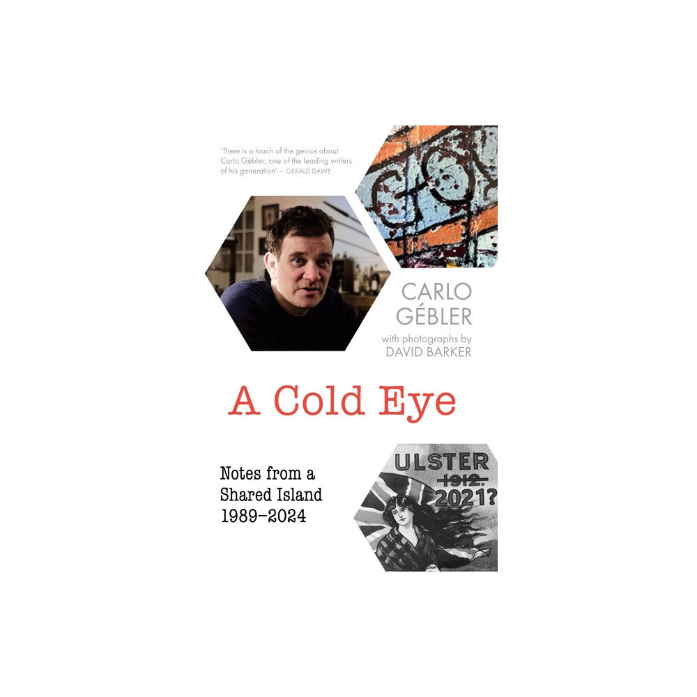 New Island Books A Cold Eye (häftad, eng)