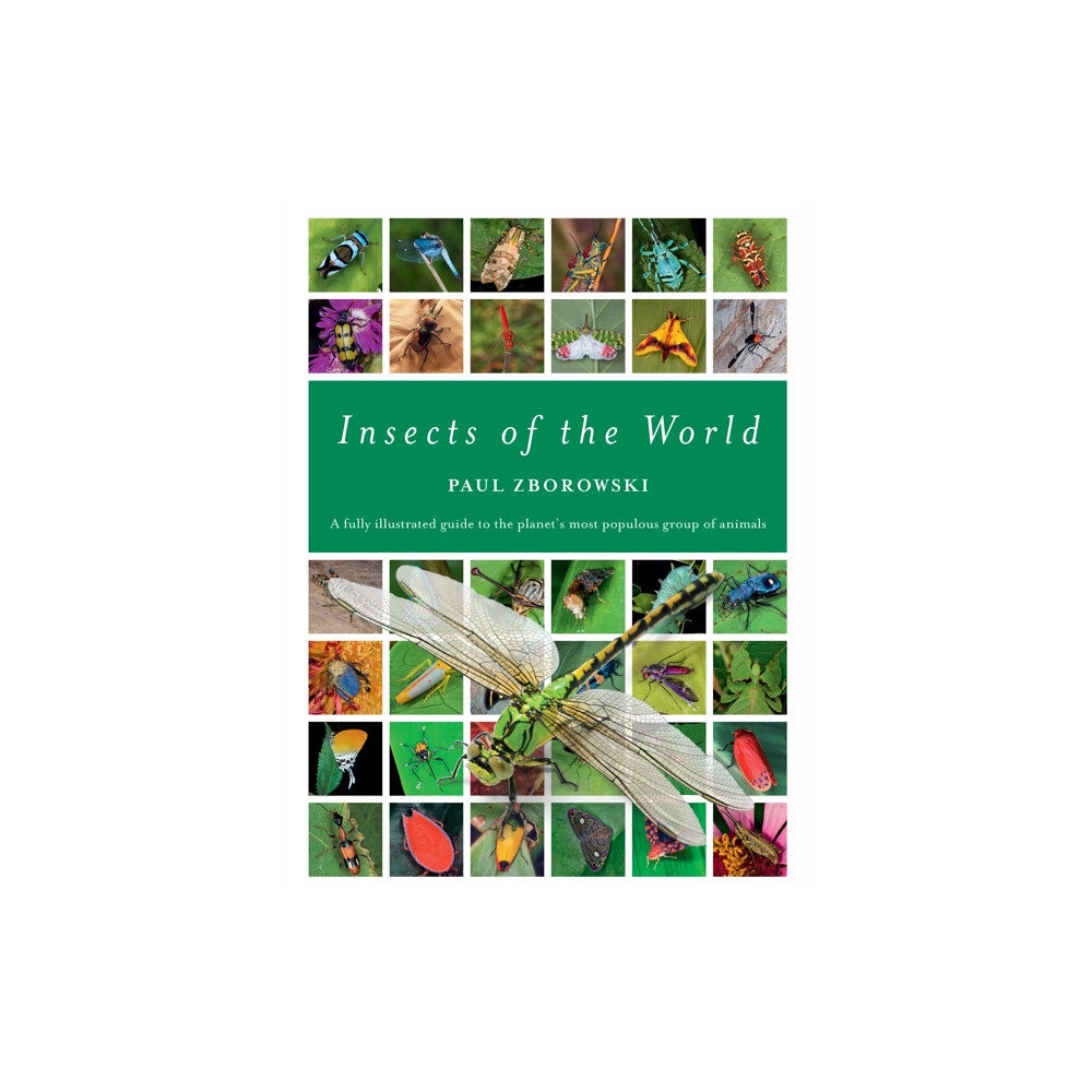 New Holland Publishers Insects of the World (inbunden, eng)