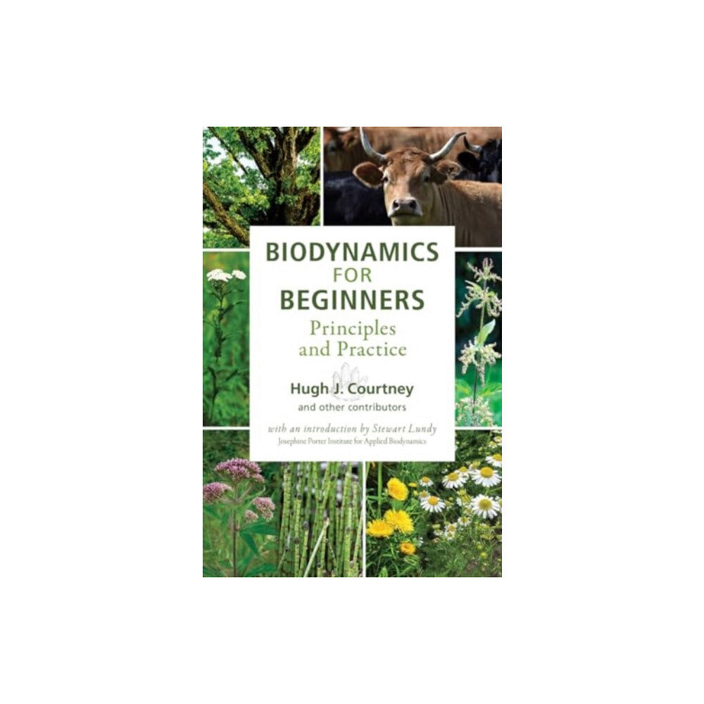 SteinerBooks, Inc Biodynamics for Beginners (häftad, eng)