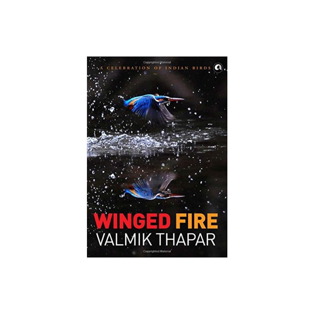 Aleph Book Company Winged Fire: A Celebration of Indian Birds, Part 3 of The Indian Wildlife Trilogy (inbunden, eng)