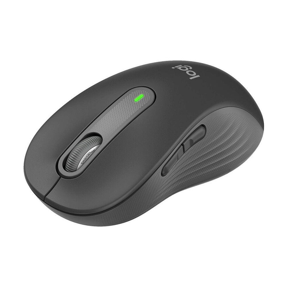 Logitech Logitech Signature M650 L - mus - stor storlek - 2.4 GHz, Bluetooth - grafit