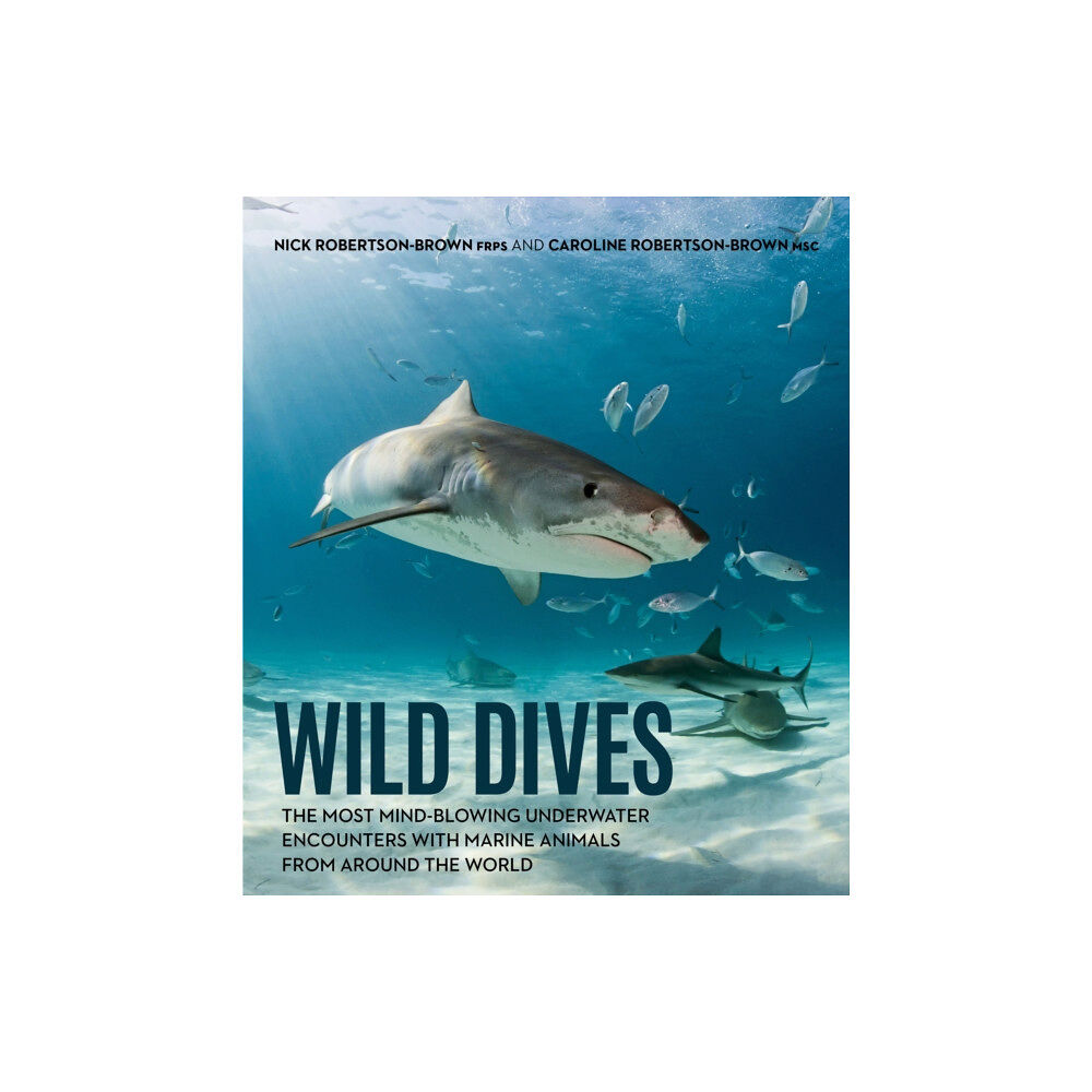 New Holland Publishers Wild Dives (inbunden, eng)