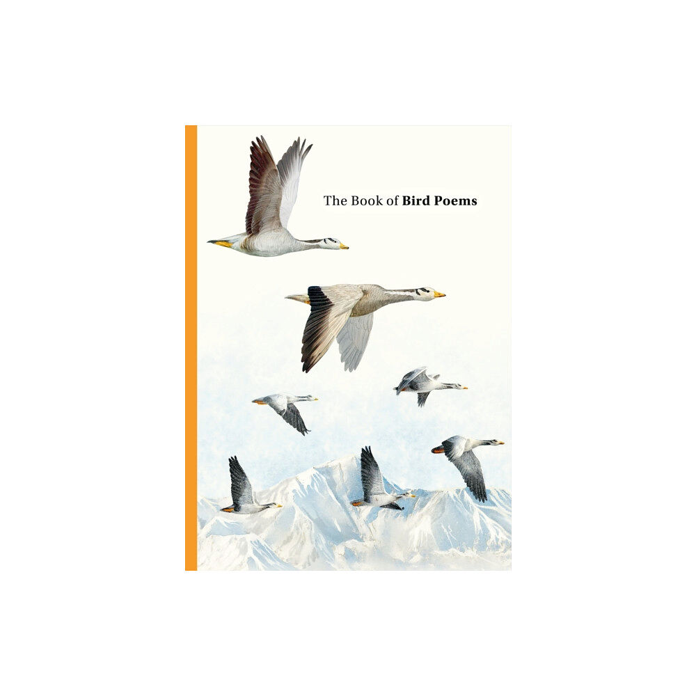 Orion Publishing Co The Book of Bird Poems (inbunden, eng)