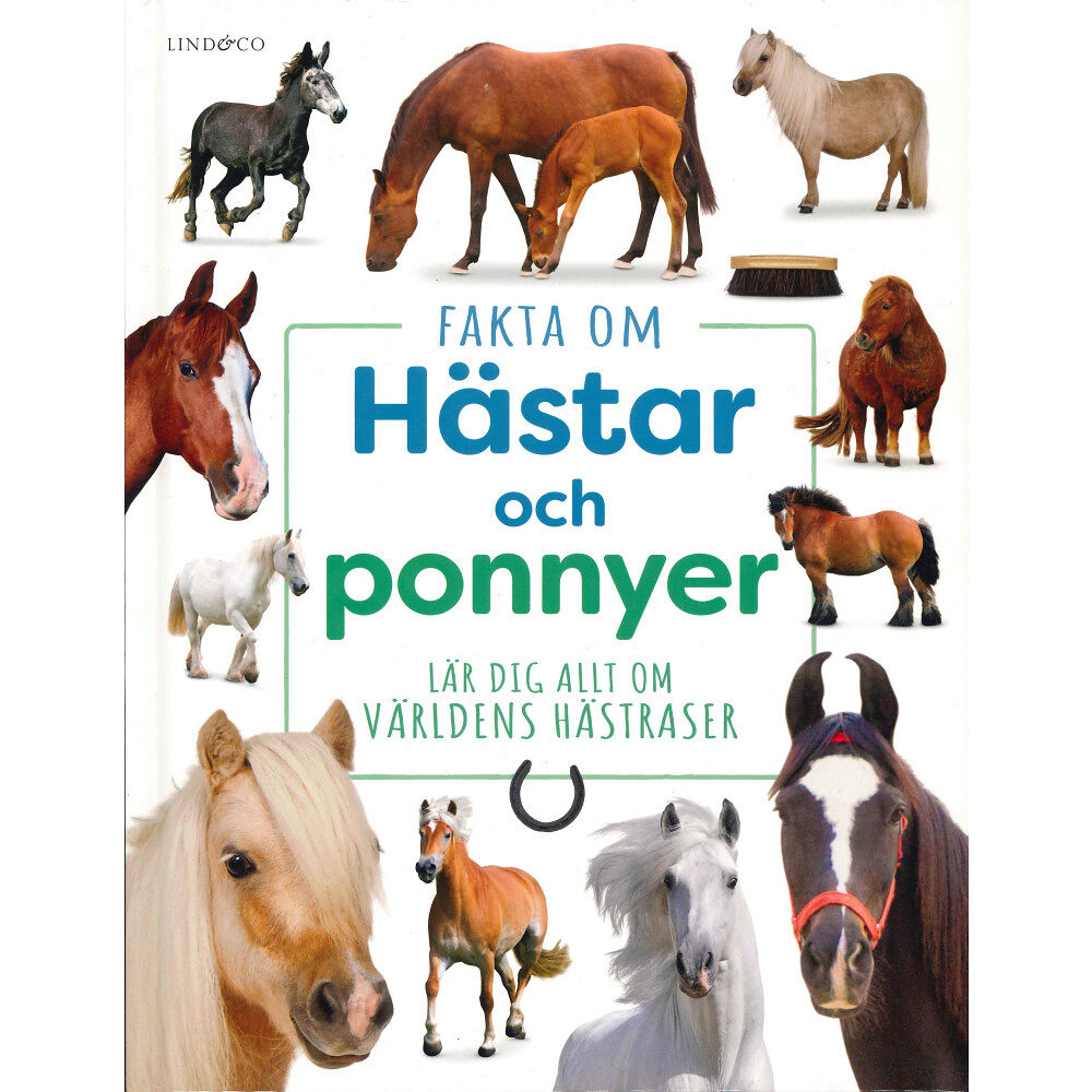 Lind & Co Fakta om hästar och ponnyer : Lär dig allt om världens hästraser (inbunden)