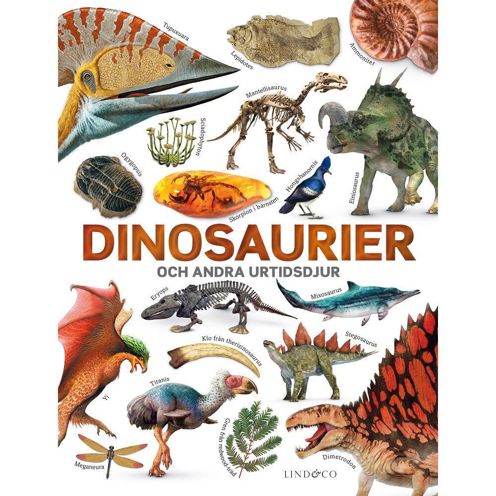 Lind & Co Dinosaurier och andra urtidsdjur (inbunden)