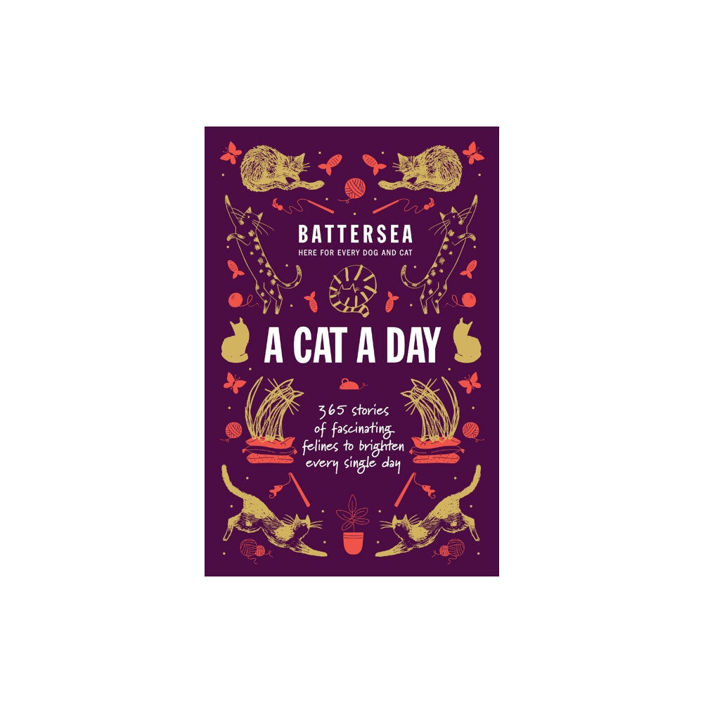 Headline Publishing Group Battersea Dogs and Cats Home - A Cat a Day (häftad, eng)