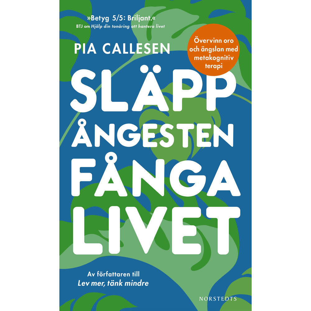 Pia Callesen Släpp ångesten, fånga livet : övervinn oro och ängslan med metakognitiv terapi (pocket)