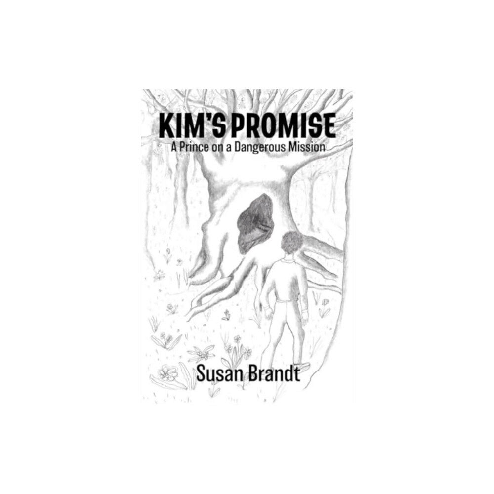 Brown Dog Books Kim's Promise (häftad, eng)