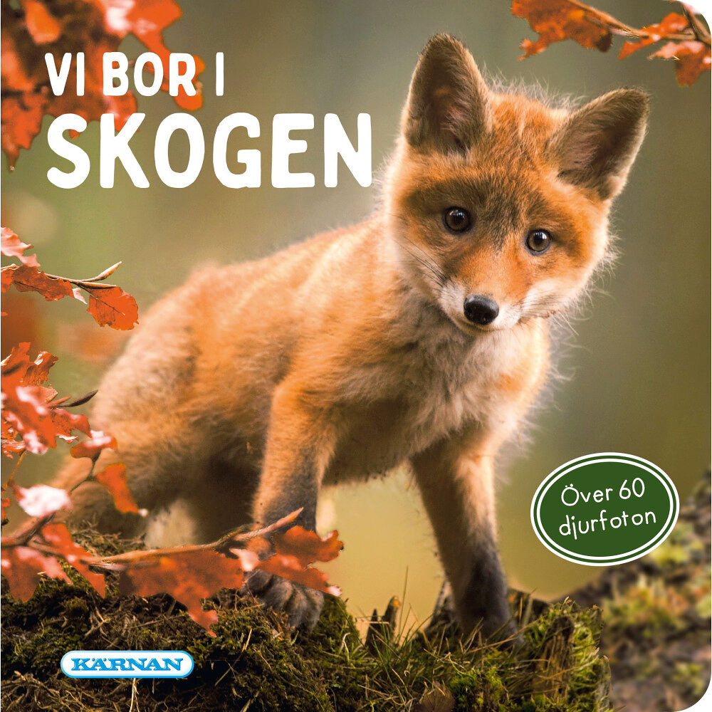 Egmont Story House Vi bor i skogen (bok, board book)