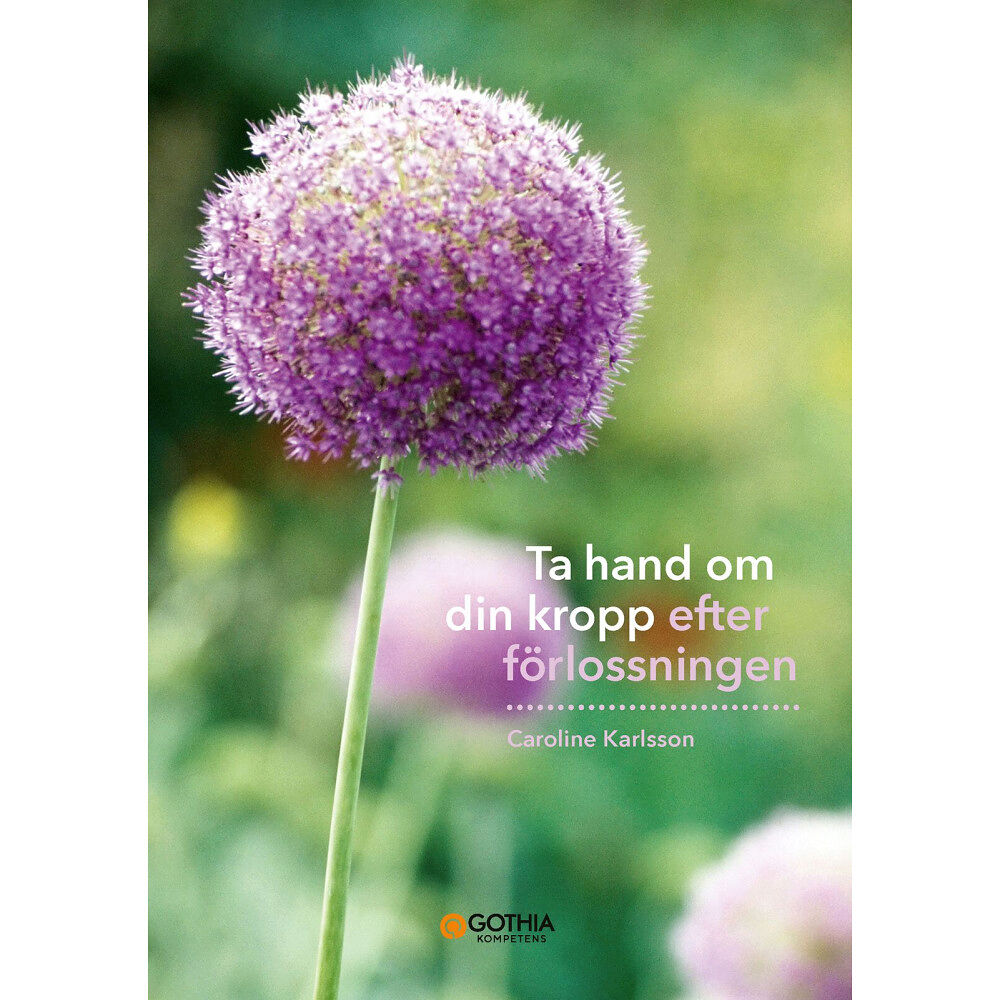 Caroline Karlsson Ta hand om din kropp efter förlossningen (häftad)