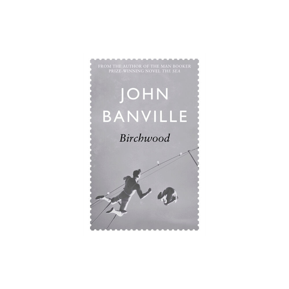 Pan Macmillan Birchwood (häftad, eng)