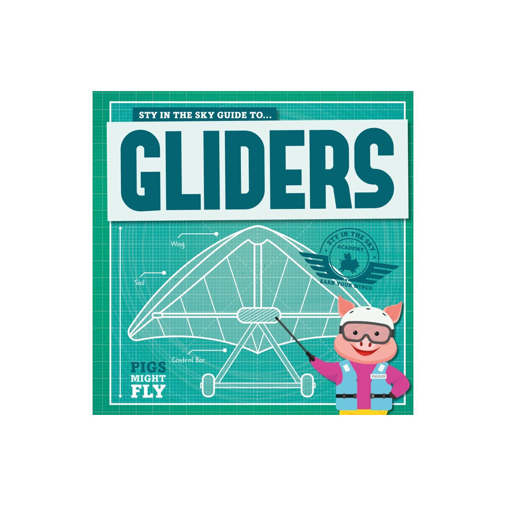 The Secret Book Company Gliders (häftad, eng)