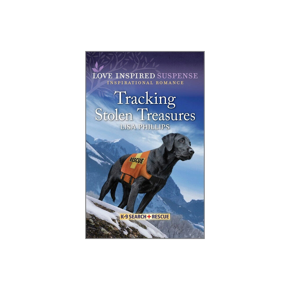 HarperCollins US Tracking Stolen Treasures (pocket, eng)