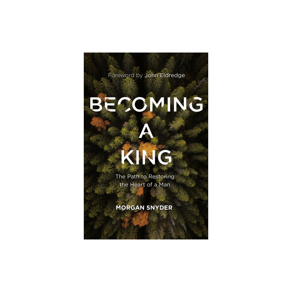 Thomas nelson publishers Becoming a King (häftad, eng)