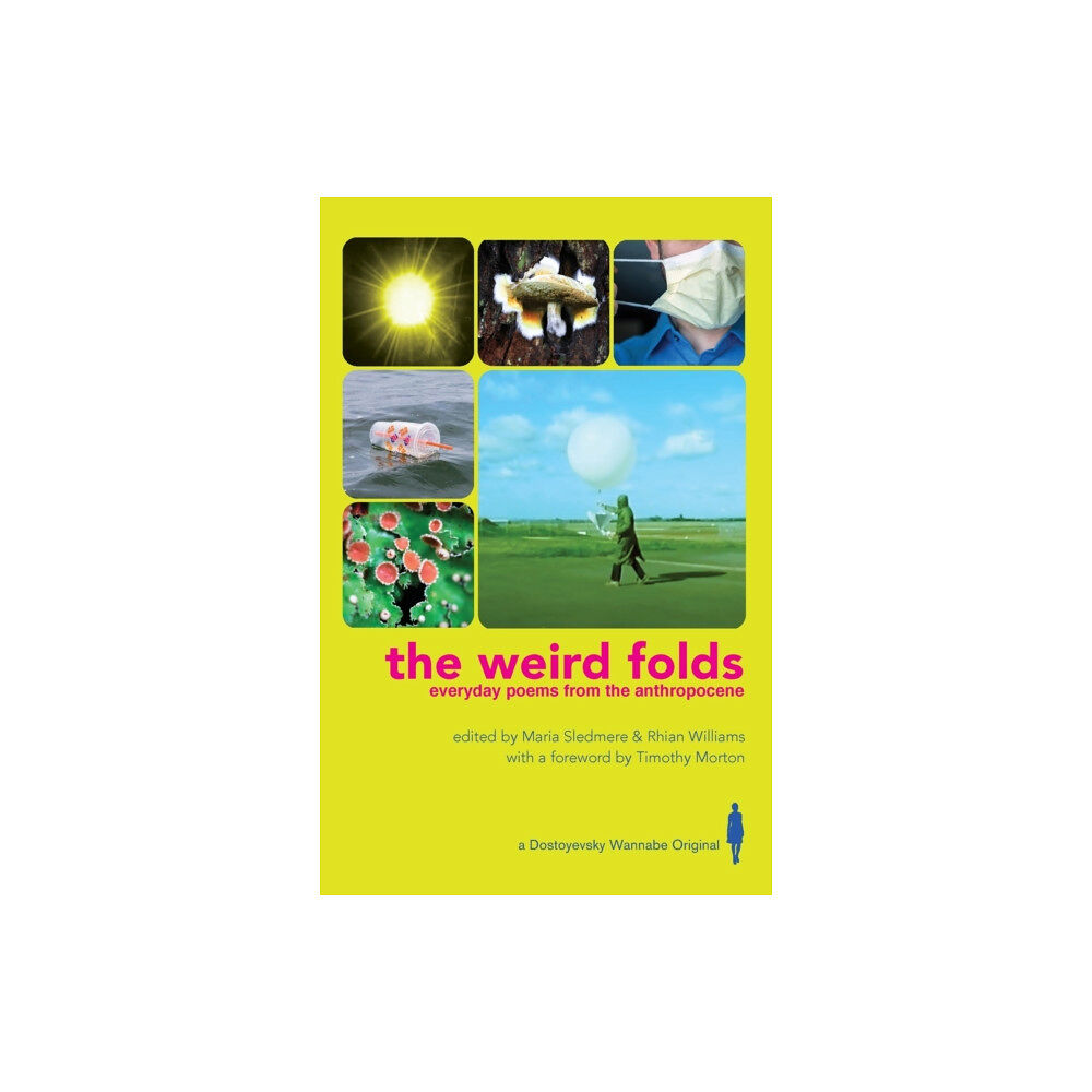 Dostoyevsky Wannabe The Weird Folds (häftad, eng)