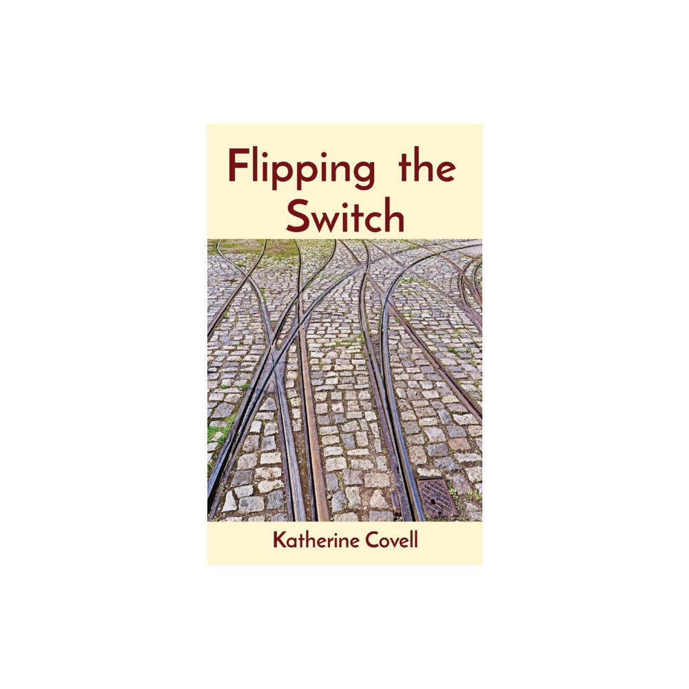 Somewhat Grumpy Press Inc. Flipping the Switch (häftad, eng)