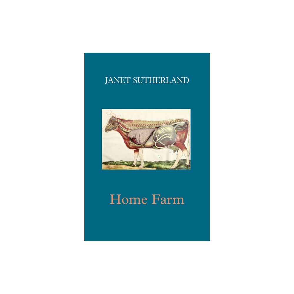 Shearsman Books Home Farm (häftad, eng)