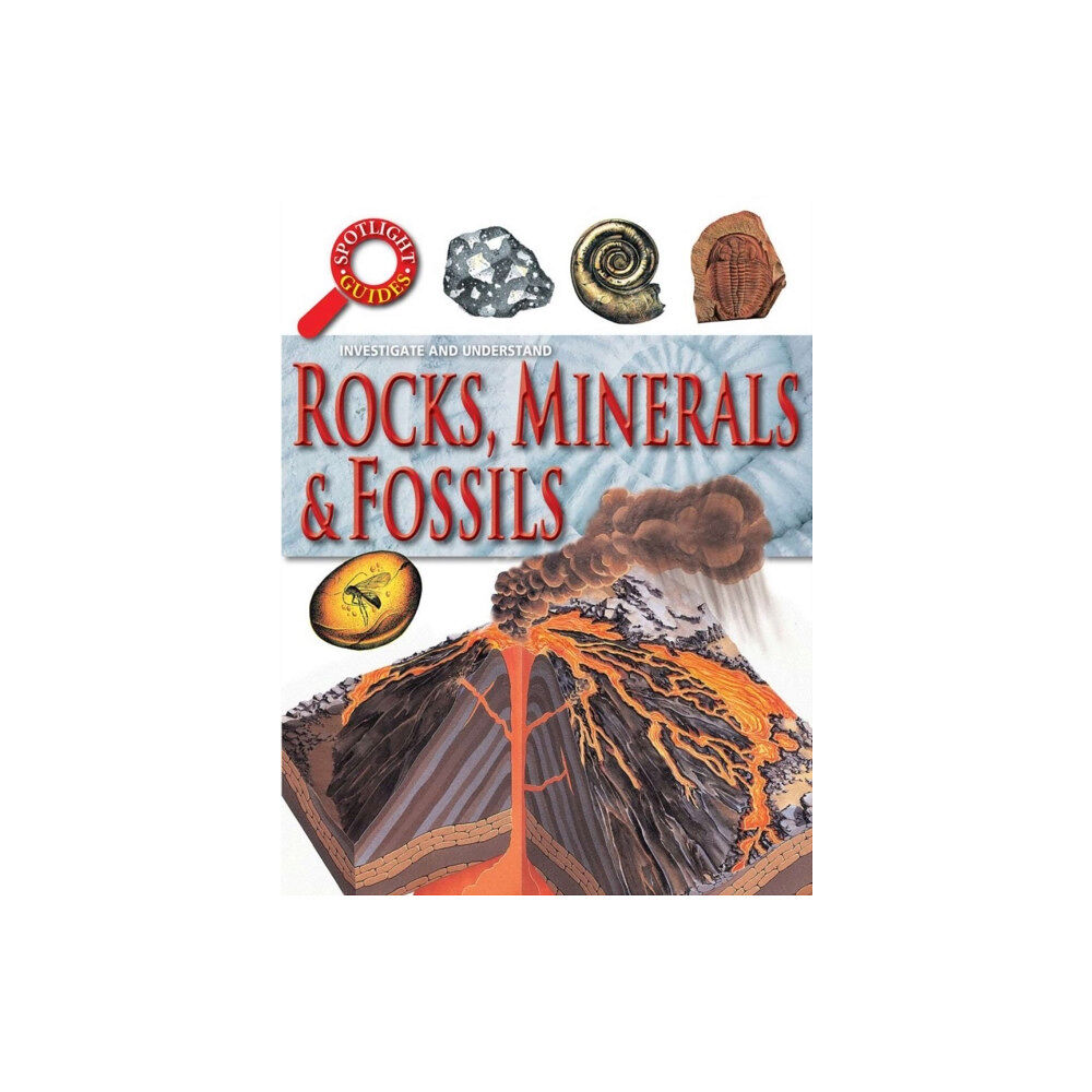 Brown Bear Books Ltd Rocks Minerals and Fossils (häftad, eng)