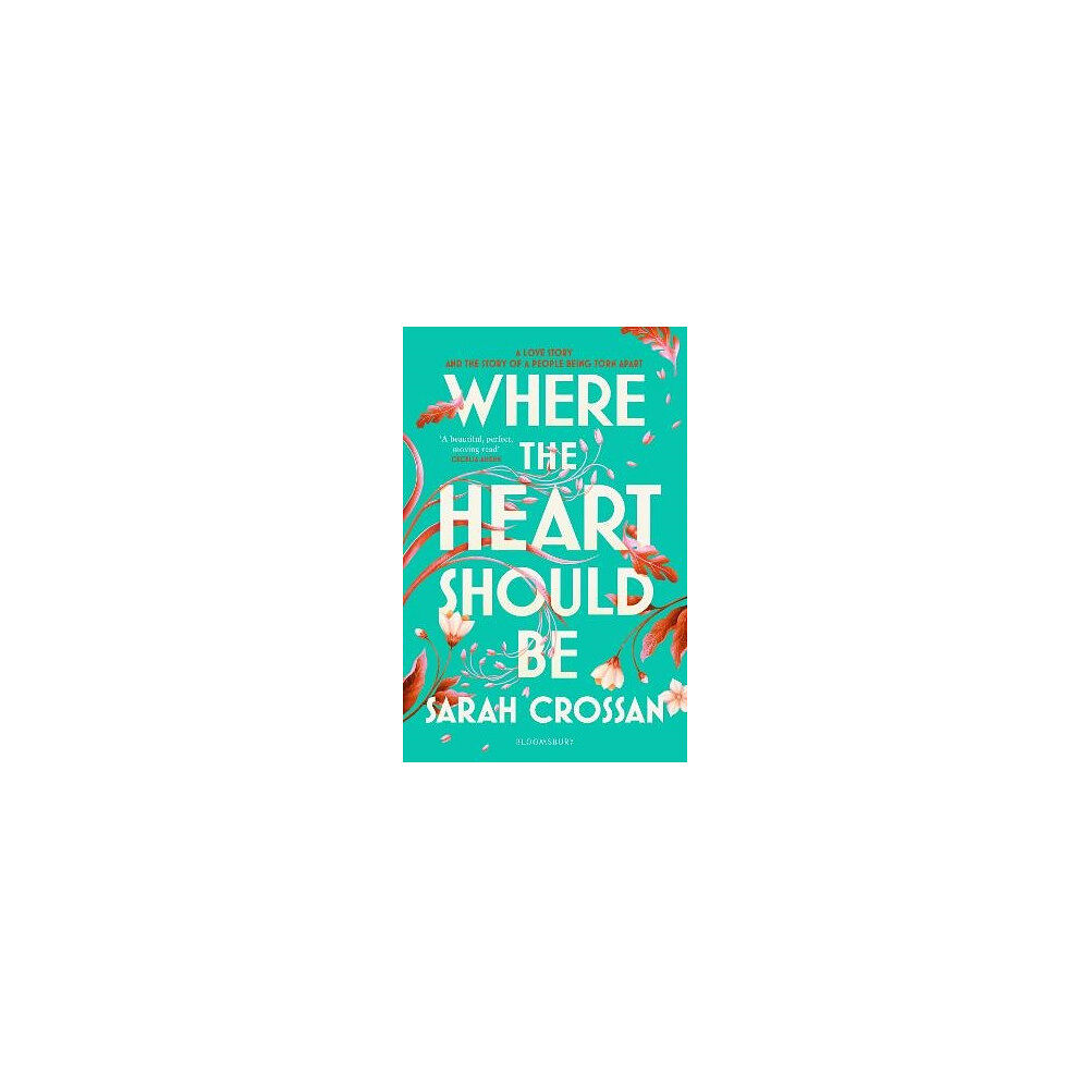 Sarah Crossan Where the Heart Should Be (pocket, eng)