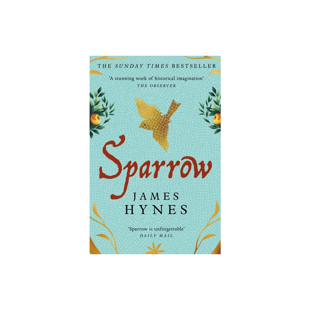 James Hynes Sparrow (pocket, eng)