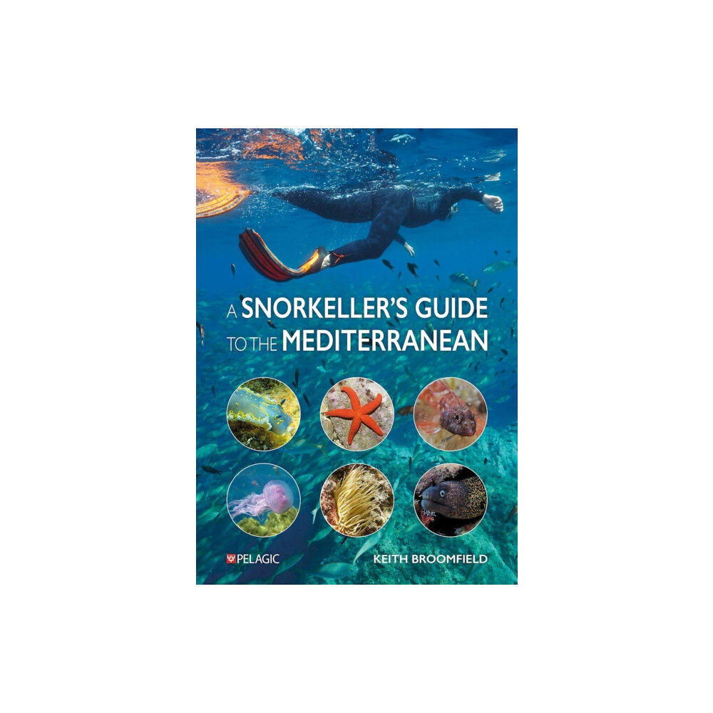 Pelagic Publishing A Snorkeller’s Guide to the Mediterranean (häftad, eng)