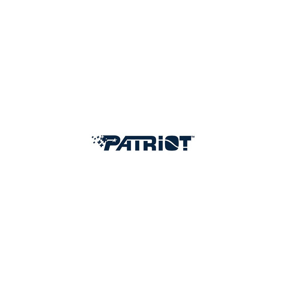 Patriot Memory Patriot P210 - SSD - 512 GB - SATA 6Gb/s