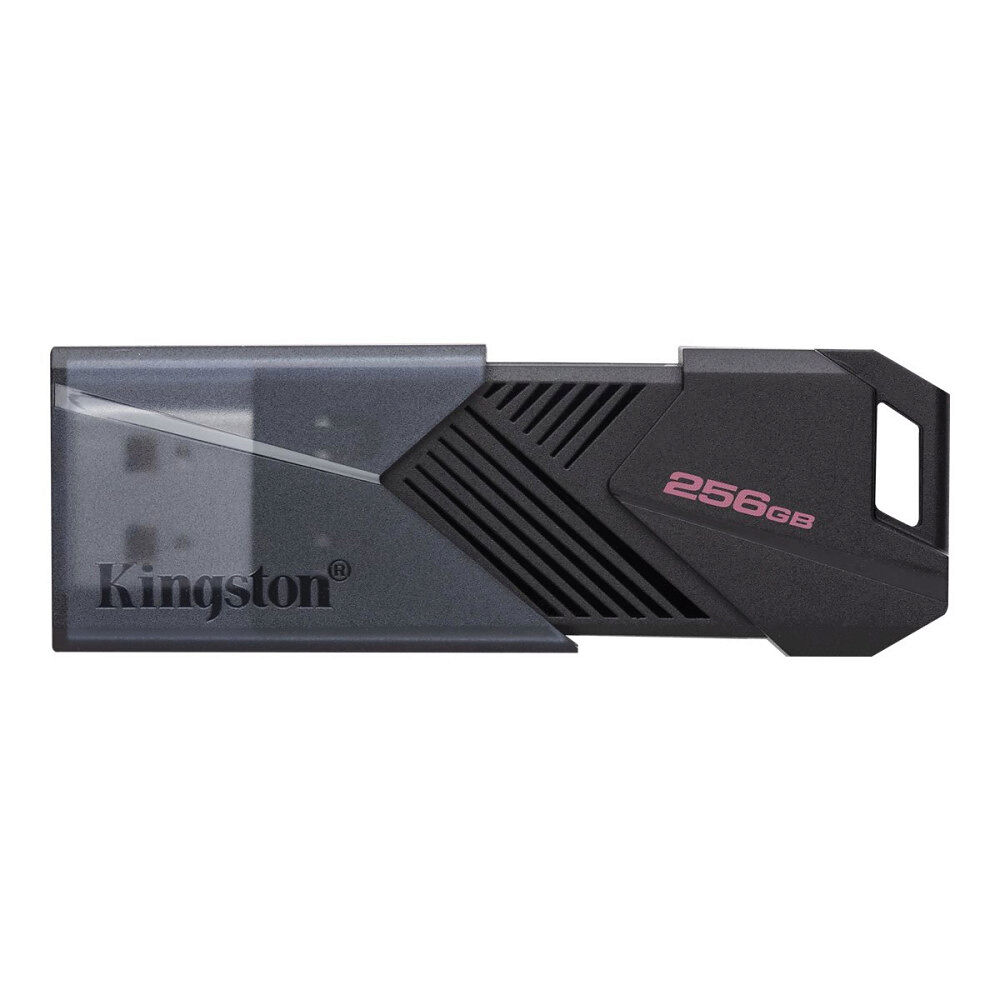 Kingston Kingston DataTraveler Onyx - USB flash-enhet - 256 GB