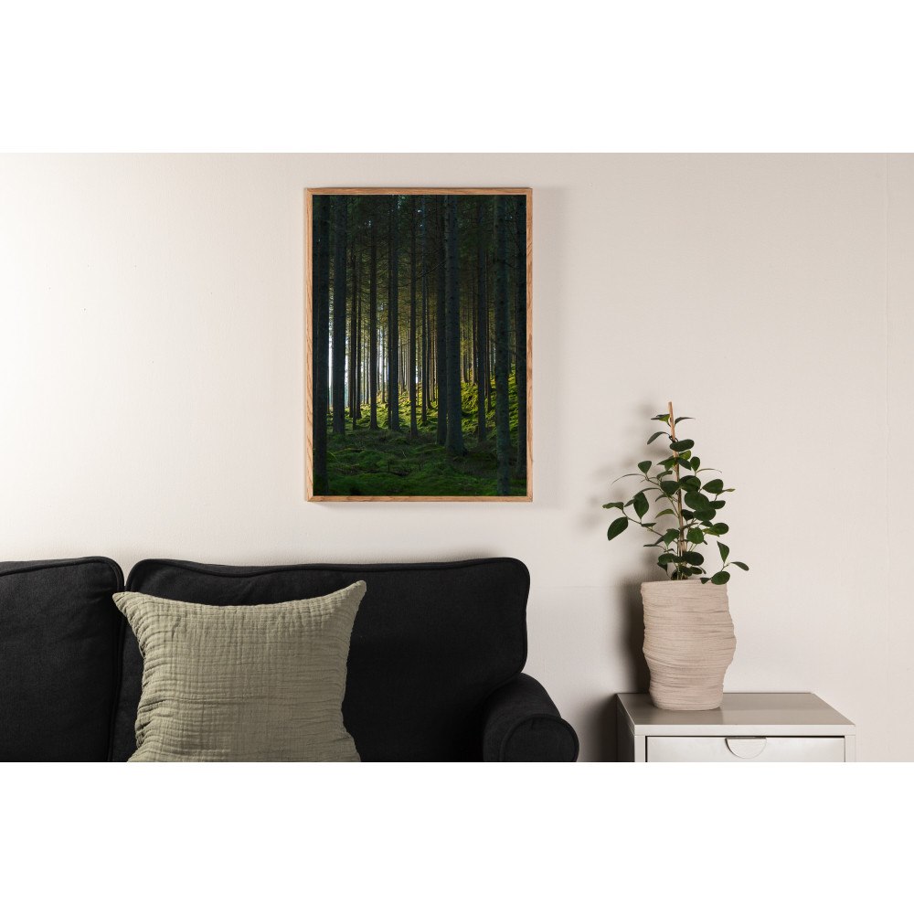 Venture Home Woods Poster