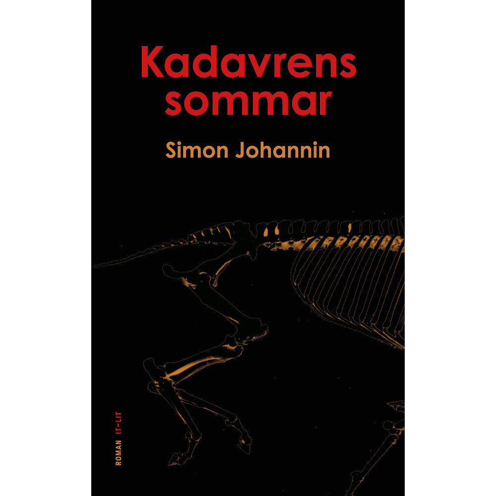 Simon Johannin Kadavrens sommar (häftad)
