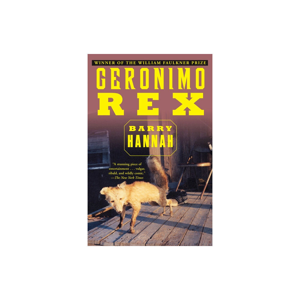 Grove Press / Atlantic Monthly Press Geronimo Rex (häftad, eng)