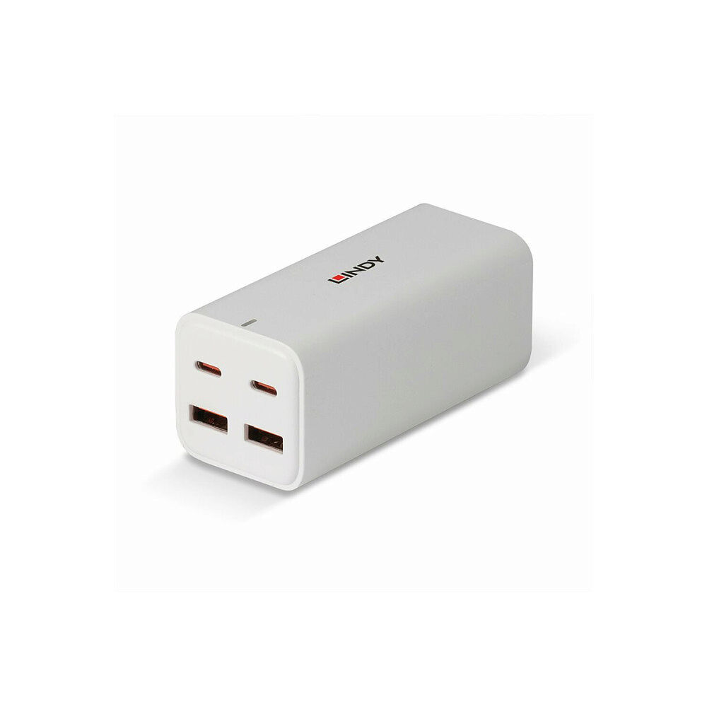 Lindy Lindy strömadapter - 2 x USB-C, 2 x USB - 100 Watt