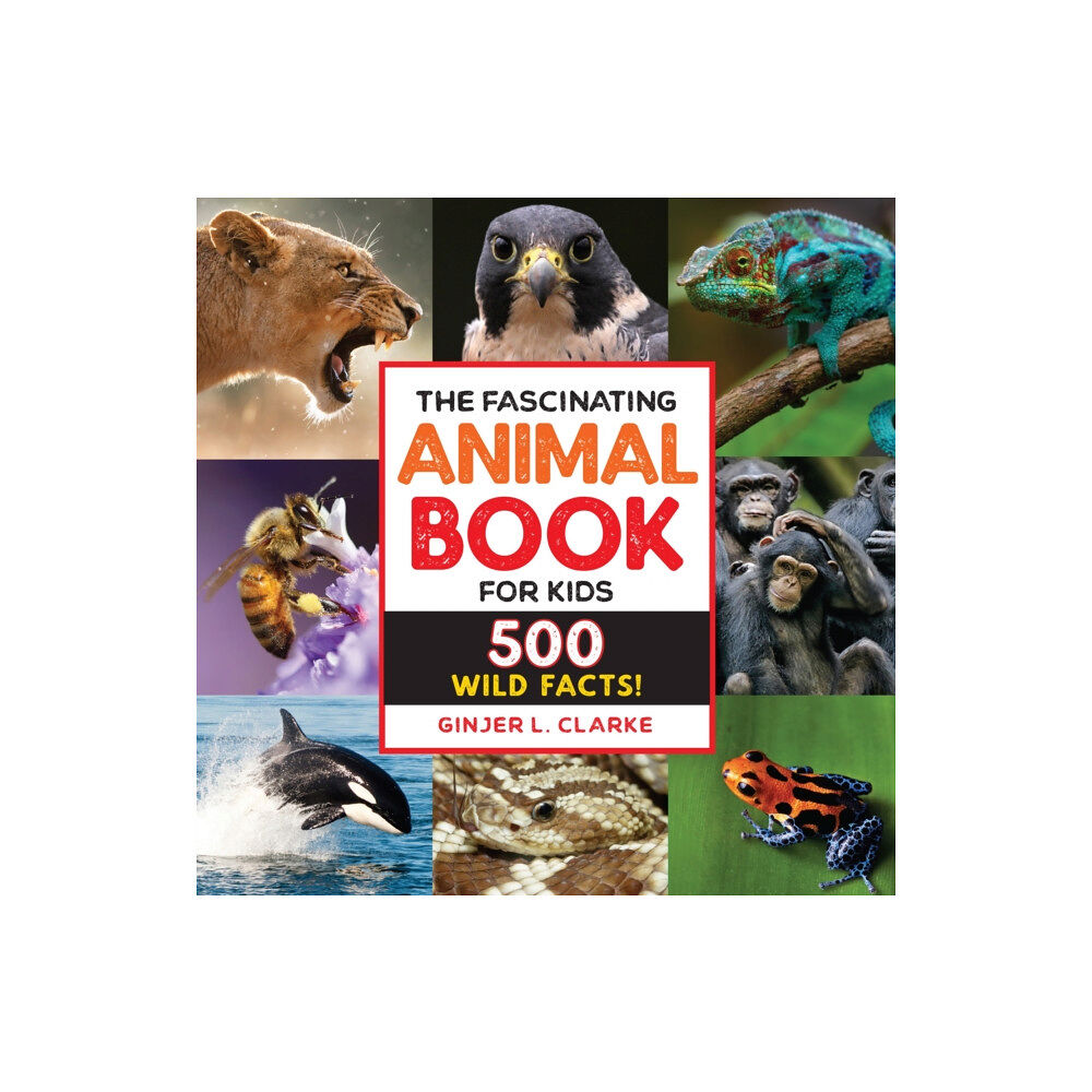 Callisto Media Inc. The Fascinating Animal Book for Kids (häftad, eng)