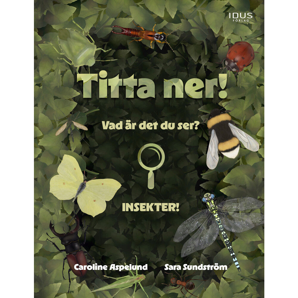 Idus Förlag Titta ner! (inbunden)