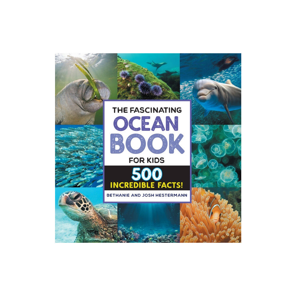 Callisto Media Inc. The Fascinating Ocean Book for Kids (häftad, eng)