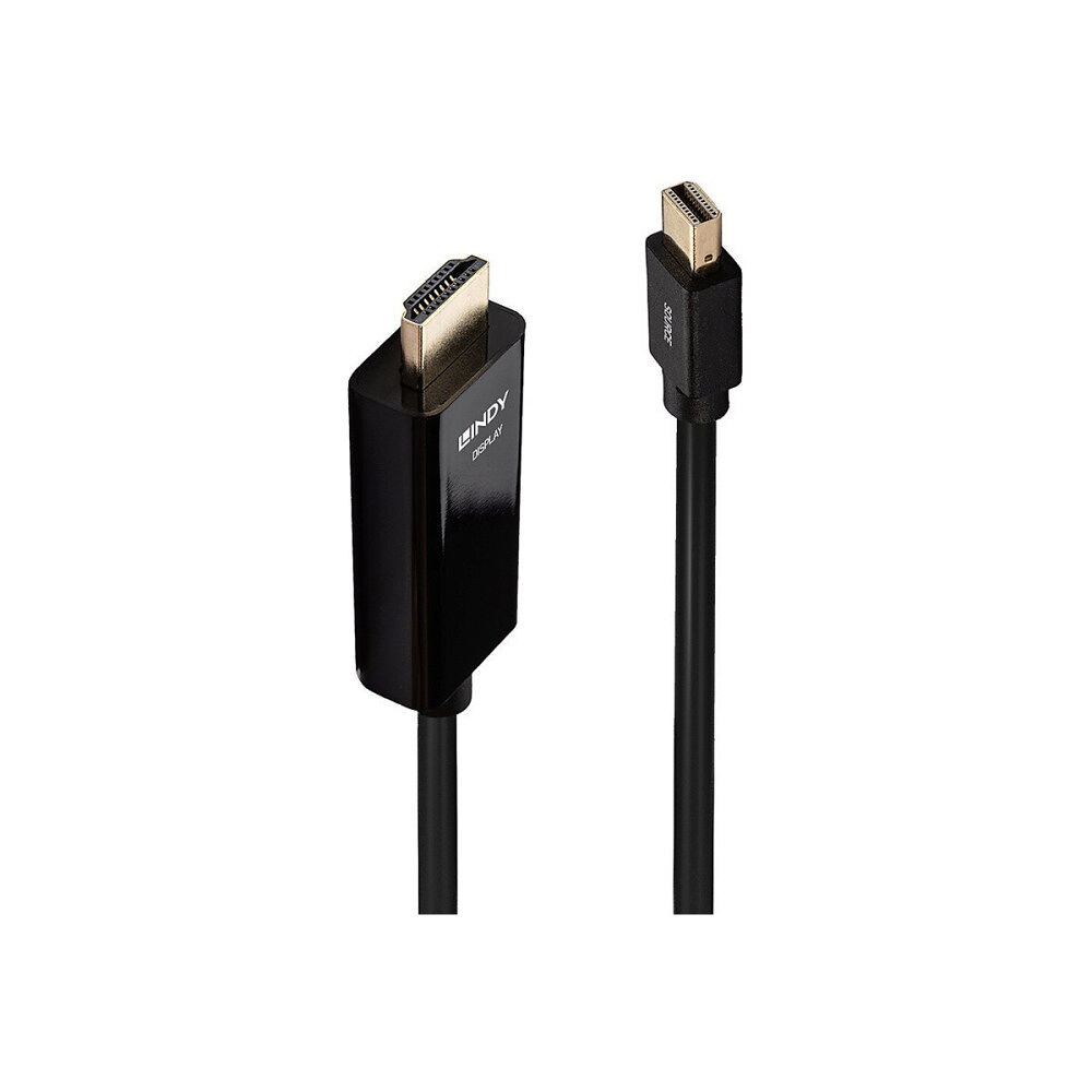 Lindy Lindy adapterkabel - DisplayPort / HDMI - 3 m