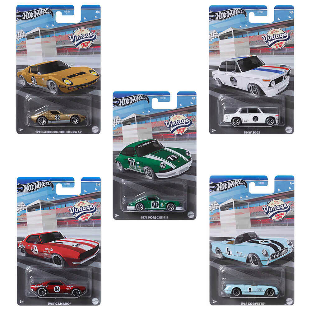 Hot Wheels Hot Wheels - Silver Vintage Collection Asst. (HRT81)