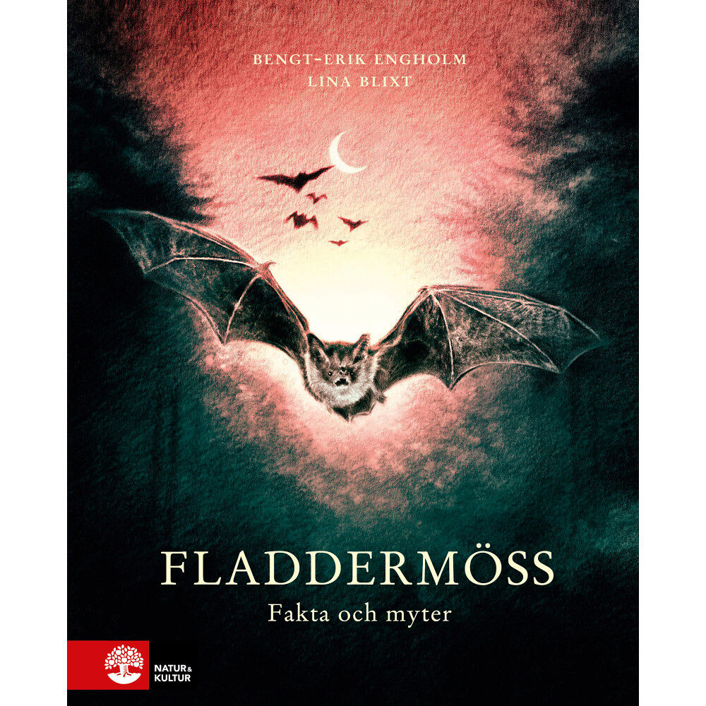 Bengt-Erik Engholm Fladdermöss : fakta och myter (inbunden)