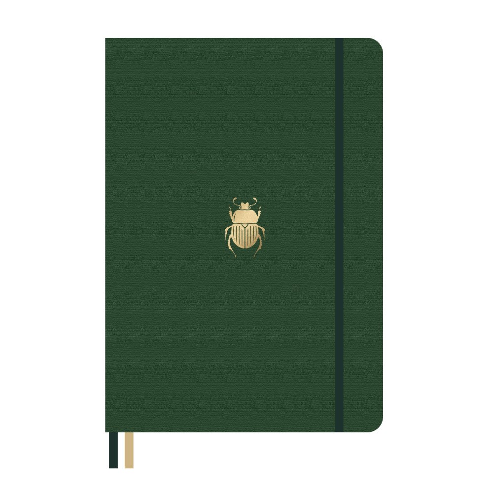 Dingbats*Notebooks LTD Dingbats* Pro B5 Beetle Notebook - Plain